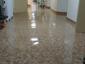 FOTO: Hasiči preventivně vydezinfikovali tři patra Fakultní nemocnice v Brně