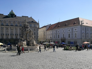 Zelňák opět žije. Na znovuotevřených trzích nakupují lidé od pondělí sazenice a zeleninu