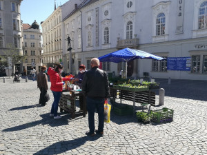 Zelňák opět žije. Na znovuotevřených trzích nakupují lidé od pondělí sazenice a zeleninu