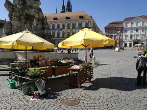 Zelňák opět žije. Na znovuotevřených trzích nakupují lidé od pondělí sazenice a zeleninu