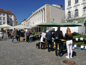 Zelňák opět žije. Na znovuotevřených trzích nakupují lidé od pondělí sazenice a zeleninu