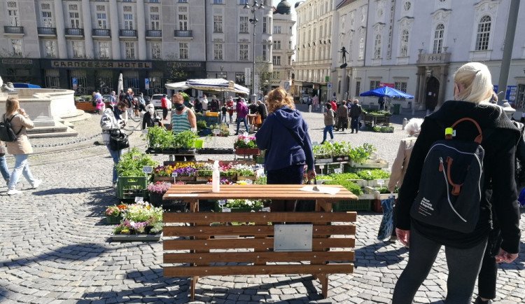 Zelňák opět žije. Na znovuotevřených trzích nakupují lidé od pondělí sazenice a zeleninu
