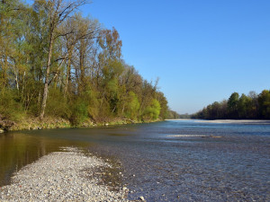 Srážky tokům na Moravě mírně pomohly, vody je ale stále málo