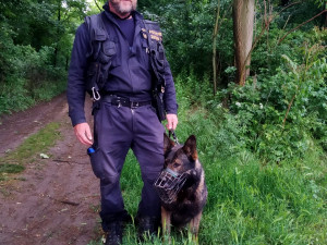 FOTO/VIDEO: Ztraceného seniora hledala celá vesnice, vyčerpaného a dezorientovaného pána našel policejní pes