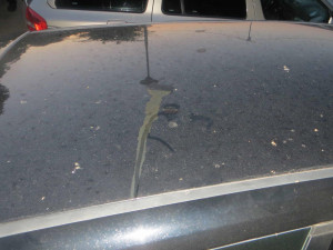 FOTO: Rozřezané pneumatiky a rozleptaný lak. Vandal opět ničil auta na Brněnsku