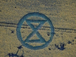 FOTO: Nedaleko Brna se objevil obrazec v řepce. Nešlo o dílo mimozemšťanů, ale protest aktivistů