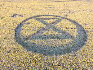 FOTO: Nedaleko Brna se objevil obrazec v řepce. Nešlo o dílo mimozemšťanů, ale protest aktivistů
