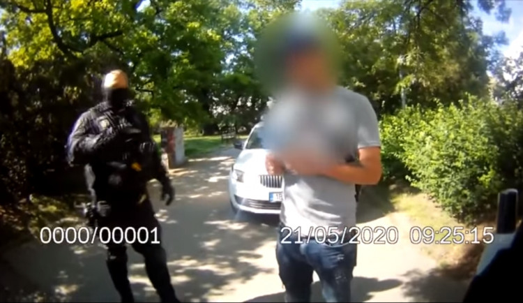 Strážníci dopadli pachatele