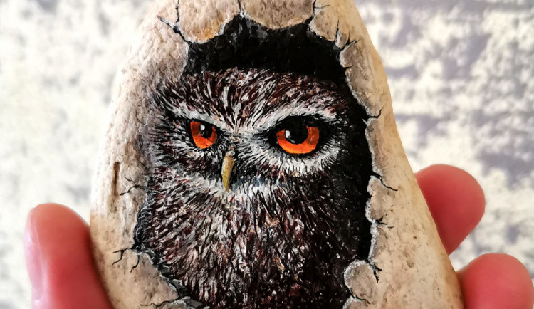 Nový fenomén: malování na kameny. Spojuje rodiny a cizí potěší, říká grafik Ondřej Musil