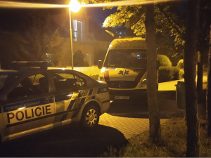 VIDEO: Policisté v pondělí na Pomněnkový den pátrali po dvou ztracených dětech, obě šťastně našli