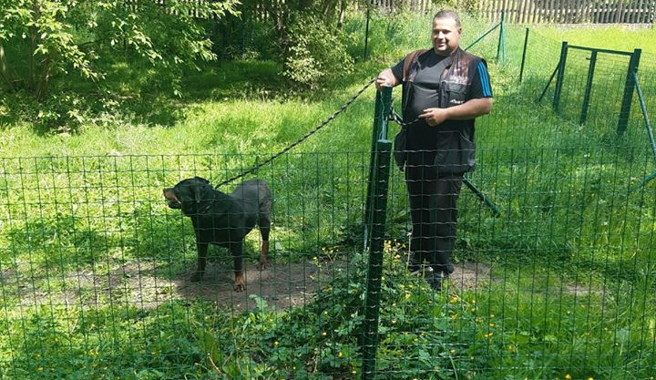 Na hřiště se zatoulal rotvajler, kynolog ho odchytl díky fence a buřtům