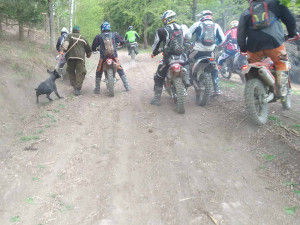 FOTO: Policie pátrá po agresivním gangu motorkářů, kteří napadl skupinu lesních dělníků