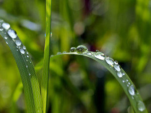 POČASÍ NA PONDĚLÍ: Příjemné teploty a místy možnost přeháňky