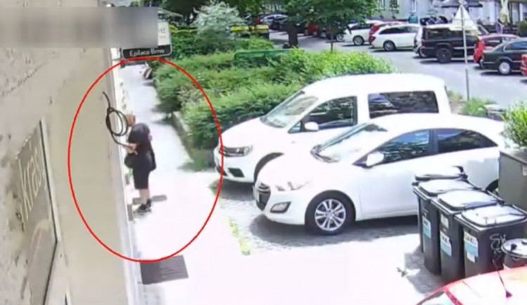 policie pátrá po zloději