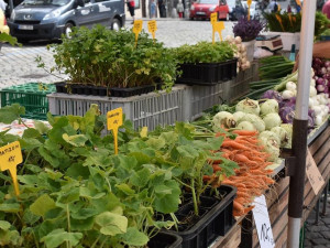 Čerstvý hrášek, jahody ze zahrádky i květiny. Zelný trh jede od tohoto týdne zase v plném provozu.
