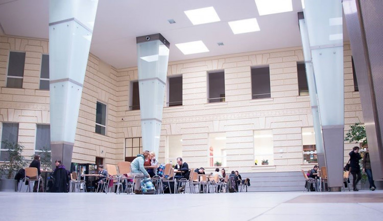 Fakulta sociálních studií