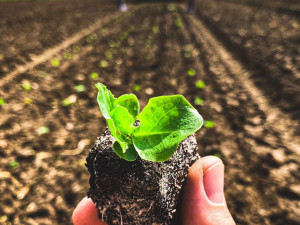 Rodinné farmě z Brna hrozí kvůli územnímu plánu zánik. Farmáři shání podpisy do petice