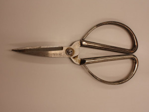 Zatoužily po jablkách, tak se vydaly krást. Dvě z pěti zlodějek i s ukradenými iPhony vyčmuchal v Brně policejní pes