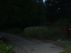 Zatoužily po jablkách, tak se vydaly krást. Dvě z pěti zlodějek i s ukradenými iPhony vyčmuchal v Brně policejní pes