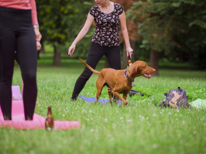 Foto: Denisa Burešová