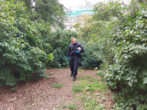 Tři děti se v Brně poranily o odhozenou jehlu. Strážníci vyčistili ulice