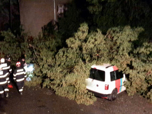 FOTO: Noční bouřka zaměstnala hasiče. Na jihu Moravy padaly stromy