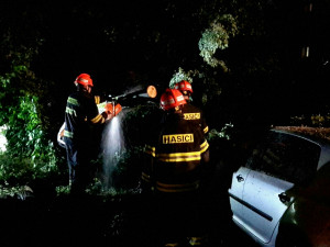 FOTO: Noční bouřka zaměstnala hasiče. Na jihu Moravy padaly stromy