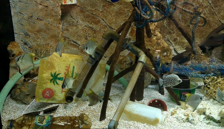 plast akvarium zoo brno3