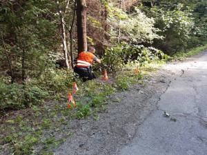 Cyklista nezvládl v kopcích na Blanensku průjezd zatáčkou, vletěl do lesa a na místě zemřel