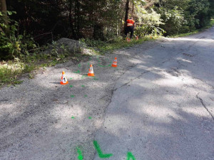 Cyklista nezvládl v kopcích na Blanensku průjezd zatáčkou, vletěl do lesa a na místě zemřel