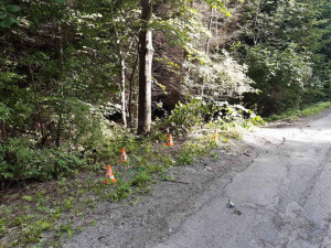 Cyklista nezvládl v kopcích na Blanensku průjezd zatáčkou, vletěl do lesa a na místě zemřel