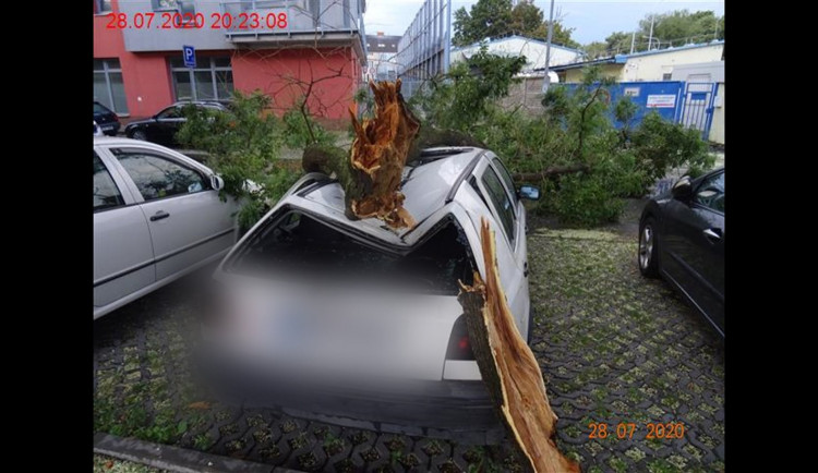 FOTO: Večerní bouřka pořádně zaměstnala hasiče. Vítr lámal stromy, tisíce domácností jsou bez proudu