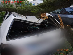 FOTO: Vítr na jižní Moravě lámal stromy, tisíce domácností jsou bez proudu