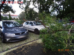 FOTO: Vítr na jižní Moravě lámal stromy, tisíce domácností jsou bez proudu