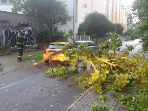 FOTO: Vítr na jižní Moravě lámal stromy, tisíce domácností jsou bez proudu