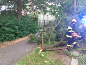 FOTO: Vítr na jižní Moravě lámal stromy, tisíce domácností jsou bez proudu