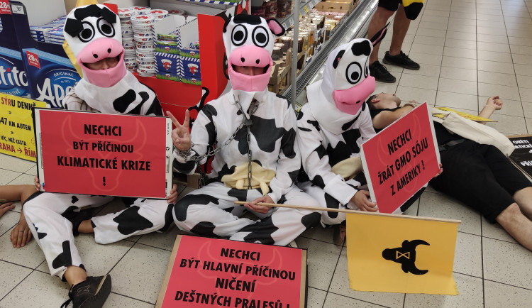 FOTO/VIDEO: Aktivisté v maskách zaplnili Vaňkovku. Chtěli upozornit na odlesňování pralesů kvůli živočišnému průmyslu