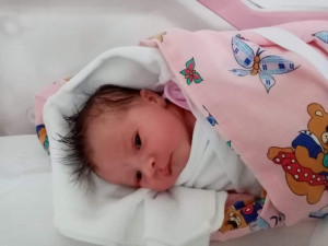 SOUTĚŽ: Hlasujte o drbňátko léta