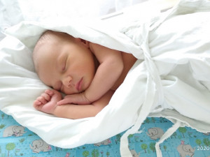 SOUTĚŽ: Hlasujte o drbňátko léta