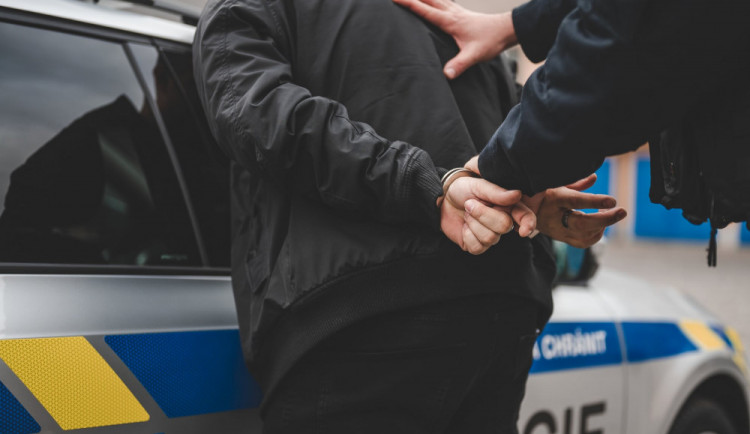Policisté zatkli muže, který se v neděli pokusil ubodat muže na Kraví hoře v Brně