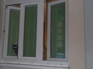 Zloděj v Brně se vloupal otevřeným oknem do bytu
