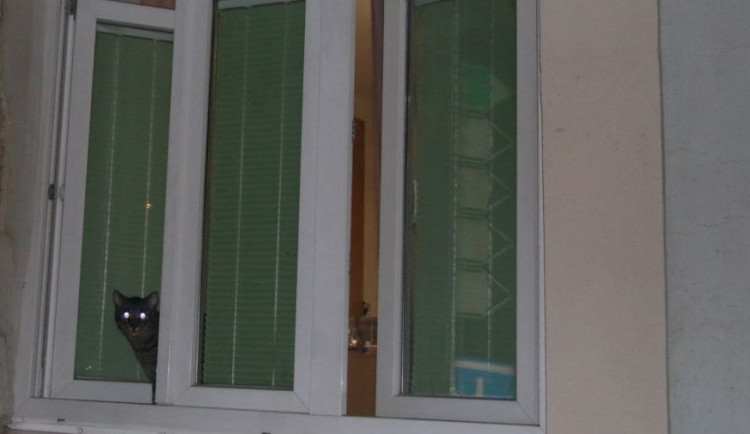 Nenechávejte otevřená okna