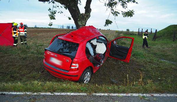 Žena nezvládla na Brněnsku řízení a narazila do stromu, na místě zemřela