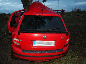 Žena nezvládla na Brněnsku řízení a narazila do stromu, na místě zemřela