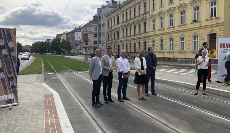 Travnatý pás na Nových sadech