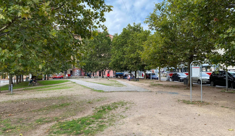 Brno-střed zvelebí parčík na Nových sadech. Kvůli bezdomovcům vymění lavičky, navíc zasadí nové stromy