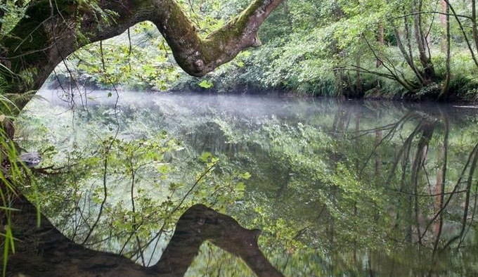 V chrastavském lesoparku vzniknou dvě nové tůně
