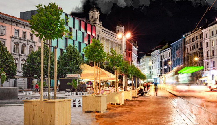 Svoboďák se zazelenal, v srdci města vyrostla improvizovaná Alej jako Brno