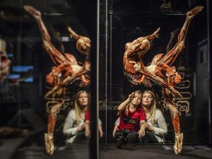 Co skrýváme pod kůží? V Brně měla začít unikátní výstava o lidském těle, organizátoři ji odložili na neurčito