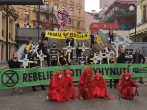 FOTO/VIDEO: Rebelové pochodovali Brnem v pietě za vyhynulé živočichy